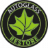 autoglass